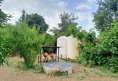 Masia with land for sale in Jimena de la Frontera ref: TR110001 photo