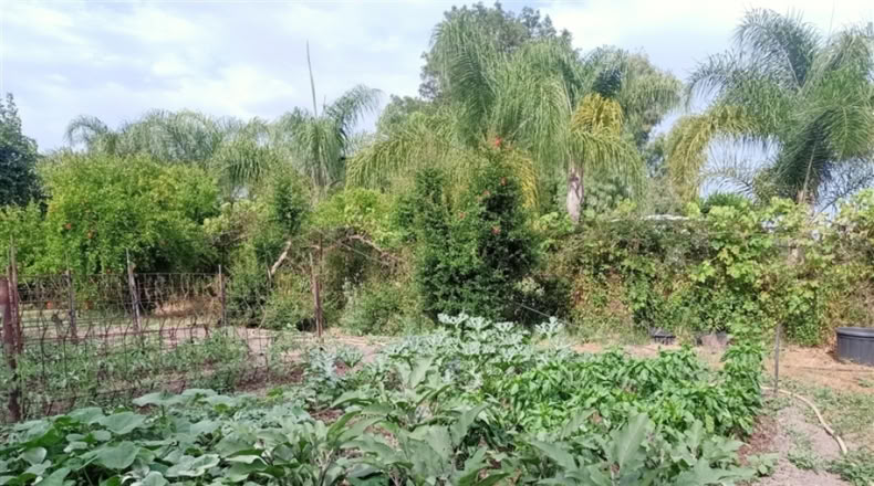 Málaga - Gaucín - 40m2