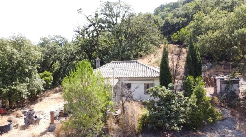 Cádiz - San Martín del Tesorillo - 250000m2