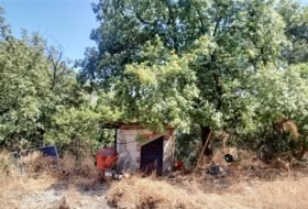Algatocín 11500&nbsp;m² 
