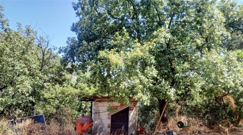 Cádiz - San Martín del Tesorillo - 250000m2