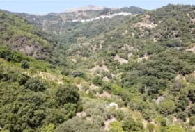 Algatocín 11500&nbsp;m² 