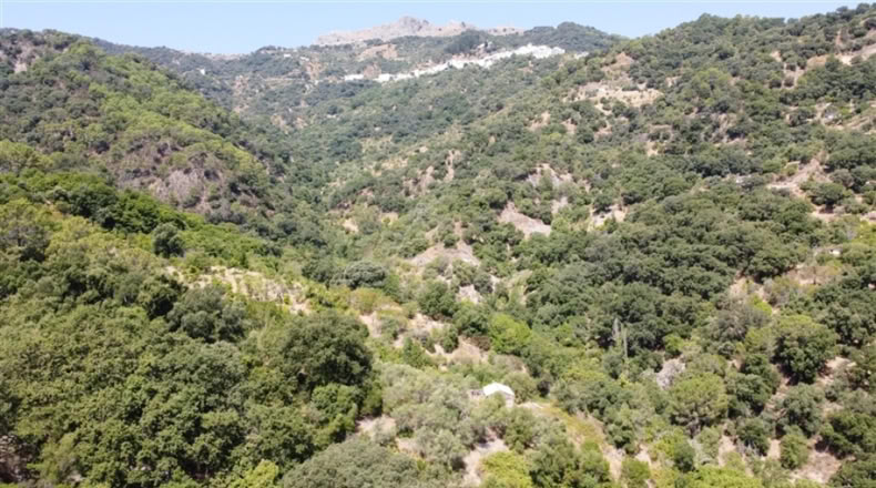 Cádiz - San Martín del Tesorillo - 250000m2