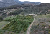 Masia amb terreny en venda a Casarabonela ref.: TR200856 foto