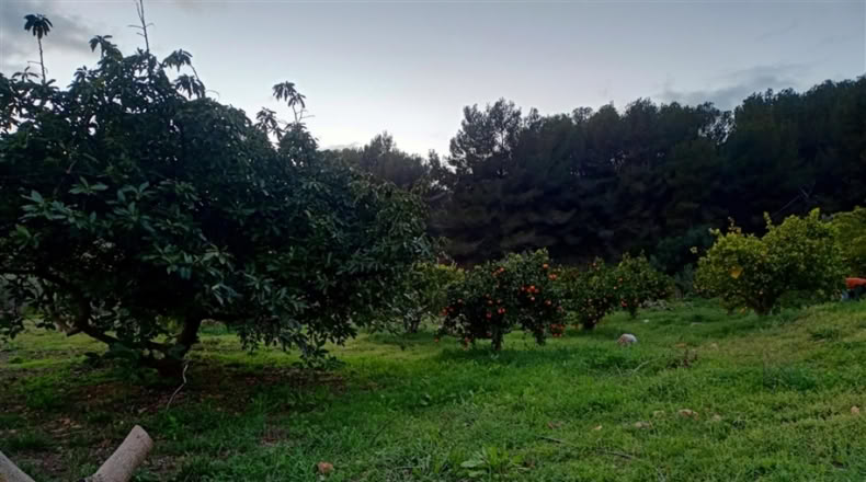 Málaga - Jubrique - 100m2