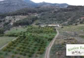 Masia amb terreny en venda a Casarabonela ref.: TR200856 foto