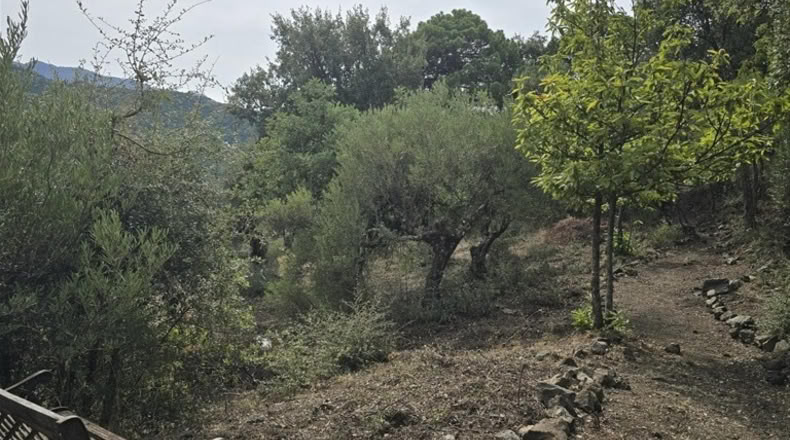 Málaga - Cortes de la Frontera - 120m2