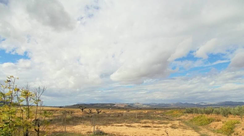 Murcia - Yecla - 10000m2