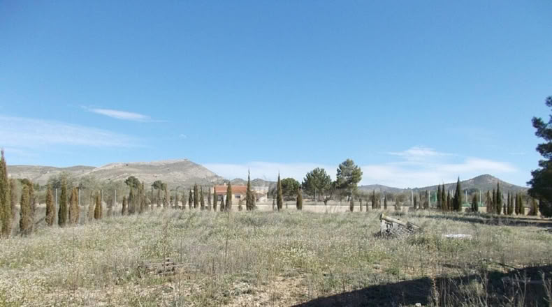 Murcia - Casas de la Alberca - 3600m2