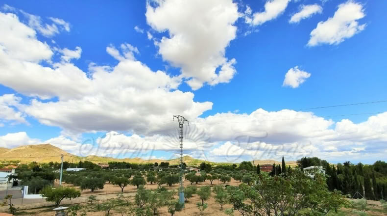 Murcia - Yecla - 5200m2