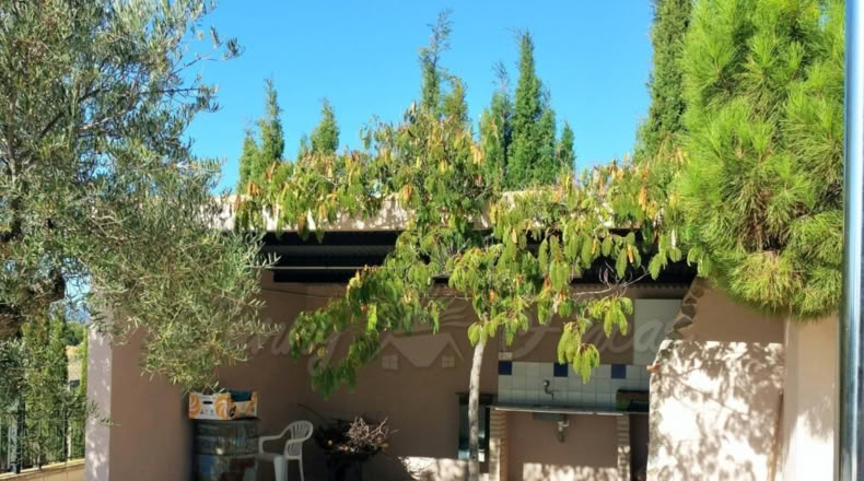 Murcia - Yecla - 5200m2