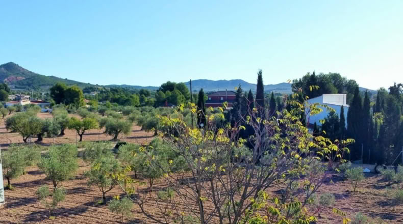 Murcia - Yecla - 5200m2