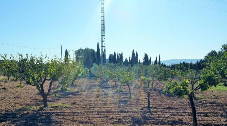 Murcia - Yecla - 5200m2