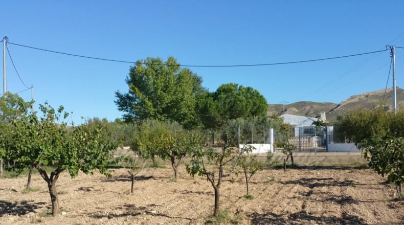 Murcia - Yecla - 5200m2