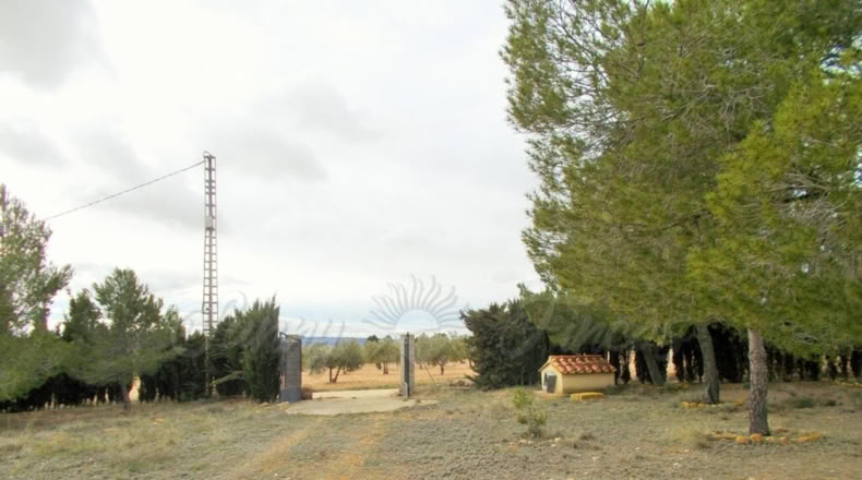 Albacete - Almansa - 8500m2