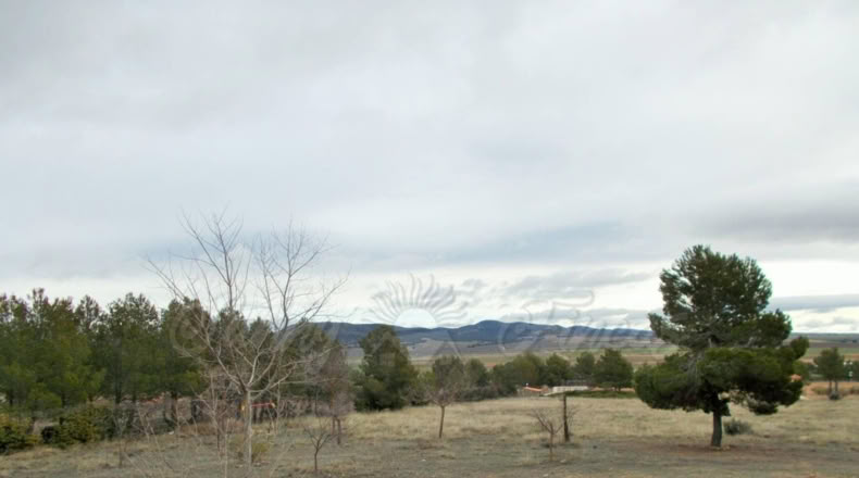 Albacete - Almansa - 8500m2