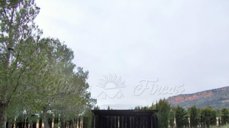Albacete - Almansa - 8500m2