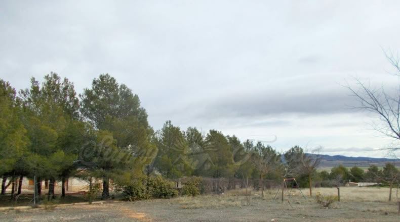 Albacete - Almansa - 8500m2