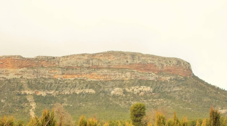 Albacete - Almansa - 8500m2