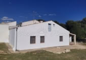 Masia with land for sale in Yecla ref: TR200893 photo