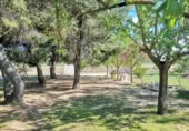 Masia with land for sale in Yecla ref: TR200893 photo