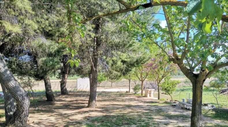 Murcia - Casas de la Alberca - 16000m2