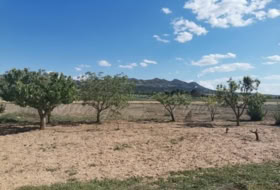 Foto 19