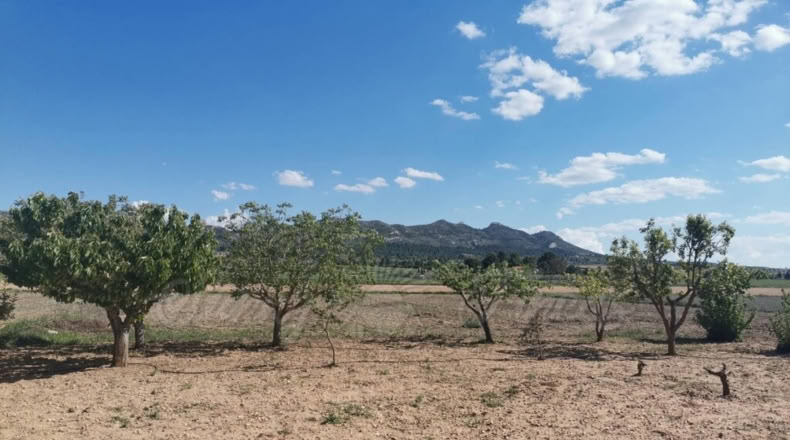 Murcia - Casas de la Alberca - 16000m2