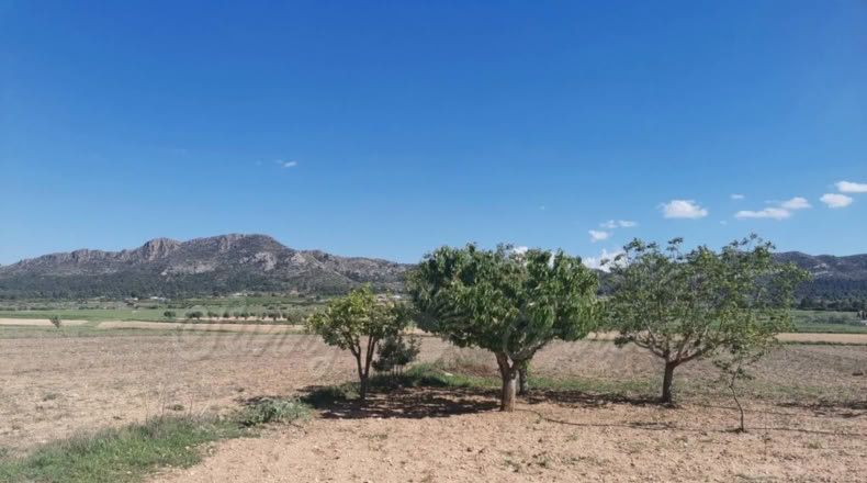 Murcia - Casas de la Alberca - 16000m2