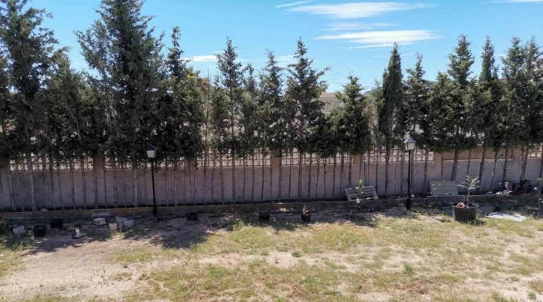 Albacete - Caudete - 4000m2