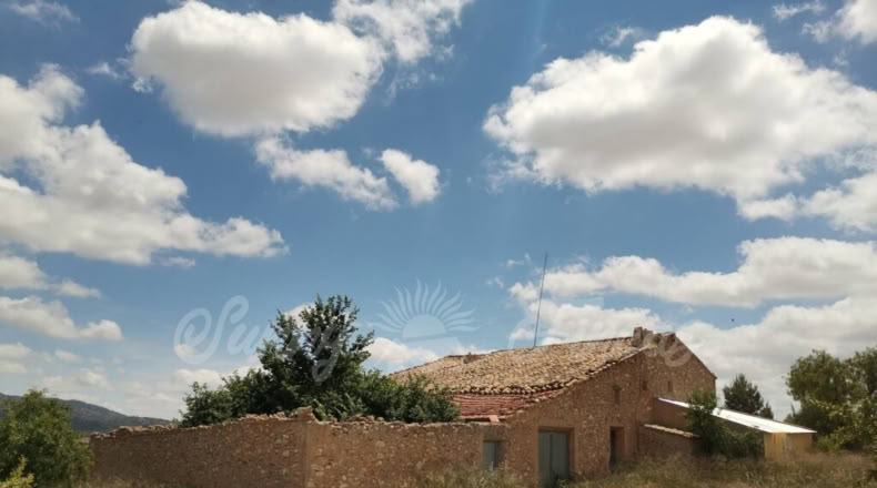 Murcia - Yecla - 6000m2