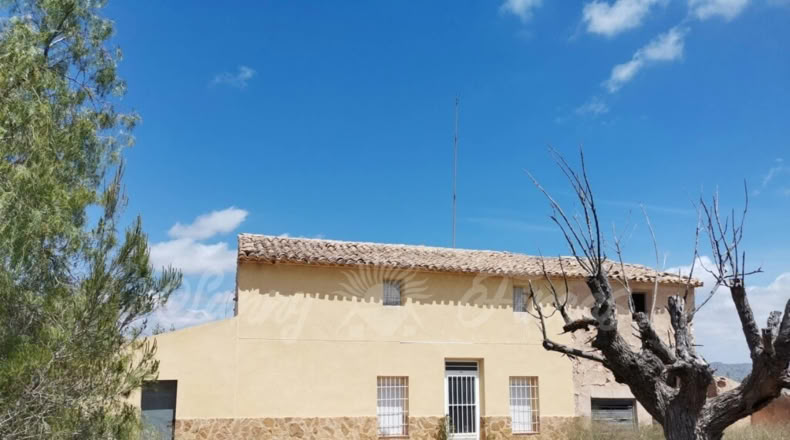 Murcia - Yecla - 6000m2
