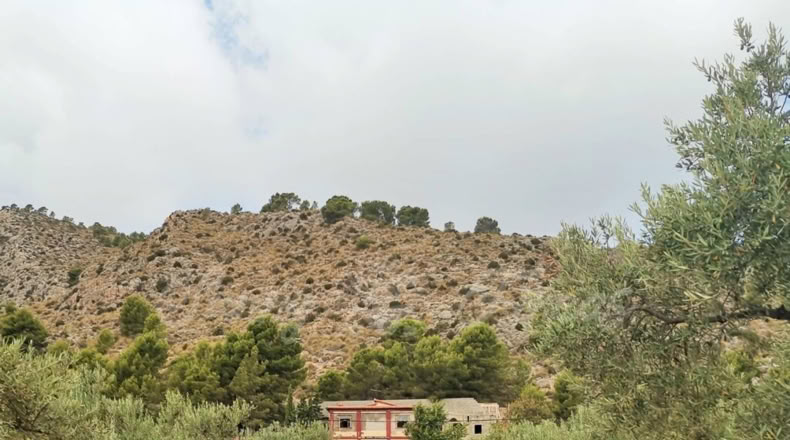 Alicante - Salines - 1700m2