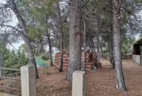 Foto 15
