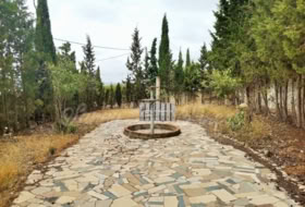 Foto 19