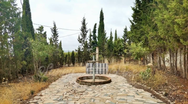 Alicante - Salines - 1700m2