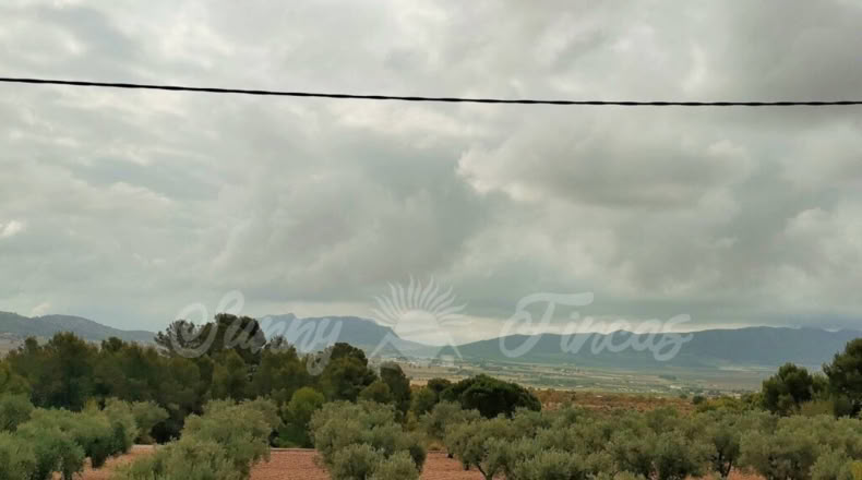 Alicante - Salines - 1700m2