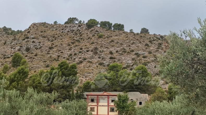 Alicante - Salines - 1700m2