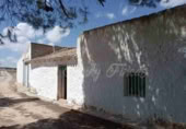Masia with land for sale in Yecla ref: TR200939 photo