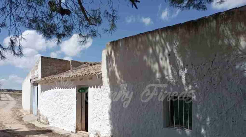 Murcia - Yecla - 9600m2