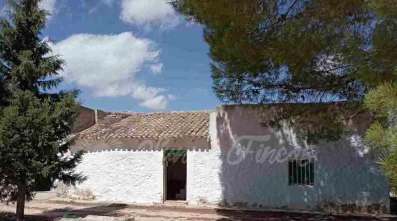 Murcia - Yecla - 9600m2