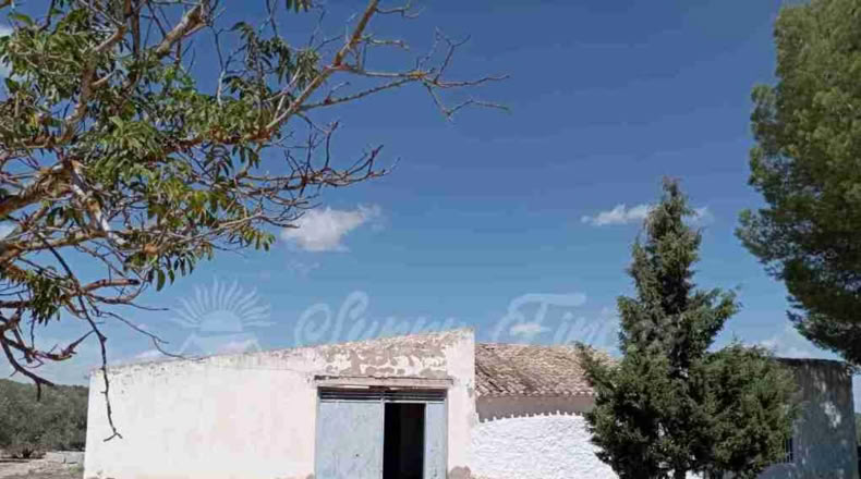 Murcia - Yecla - 9600m2