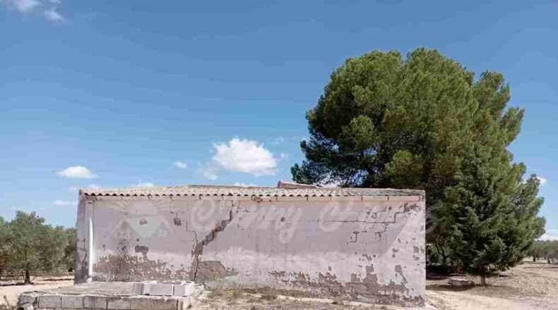 Murcia - Yecla - 9600m2