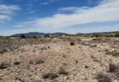 Non-developable land for sale in Pinoso ref: TR111109 photo