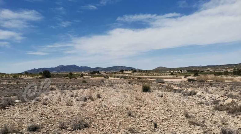 Alicante - Paredón - 11000m2