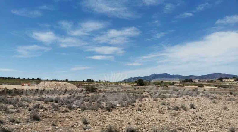 Alicante - Paredón - 11000m2