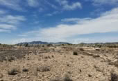 Non-developable land for sale in Pinoso ref: TR111109 photo