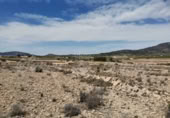 Non-developable land for sale in Pinoso ref: TR111109 photo