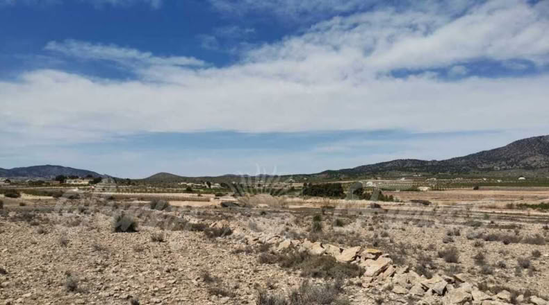 Alicante - Paredón - 11000m2