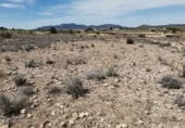 Non-developable land for sale in Pinoso ref: TR111109 photo